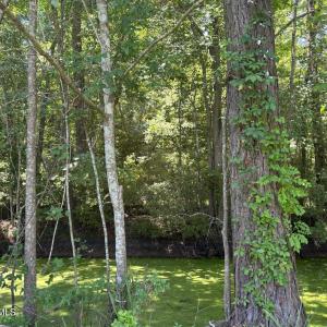 Photo #5 of Near 2072 Waccamaw Shores, Lake Waccamaw, NC 0.4 acres
