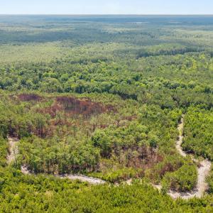 Photo #8 of Old Place, Winnabow, NC 59.1 acres