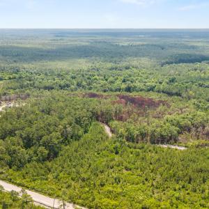 Photo #6 of Old Place, Winnabow, NC 59.1 acres