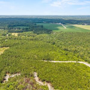 Photo #11 of Old Place, Winnabow, NC 59.1 acres