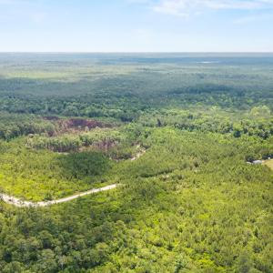 Photo #4 of Old Place, Winnabow, NC 59.1 acres