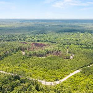 Photo #5 of Old Place, Winnabow, NC 59.1 acres