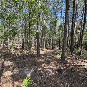 Photo #2 of 28 Hillside, Clinton, NC 1.5 acres