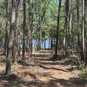 Photo #4 of 28 Hillside, Clinton, NC 1.5 acres