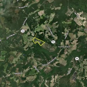 Photo #4 of Off Swamp Fox Hwy, Tabor City, NC 68.0 acres