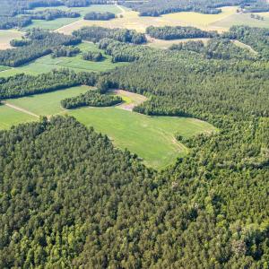 Photo #19 of Off Swamp Fox Hwy, Tabor City, NC 68.0 acres
