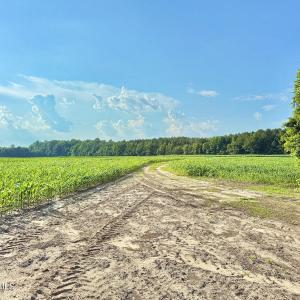 Photo #24 of Off Swamp Fox Hwy, Tabor City, NC 68.0 acres