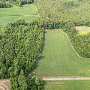 Photo #16 of Off Swamp Fox Hwy, Tabor City, NC 68.0 acres