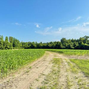 Photo #5 of Off Swamp Fox Hwy, Tabor City, NC 68.0 acres