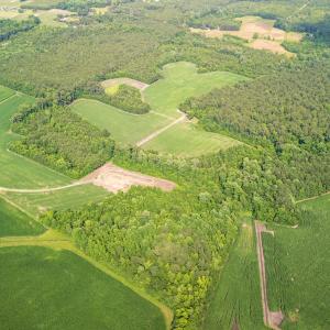 Photo #20 of Off Swamp Fox Hwy, Tabor City, NC 68.0 acres