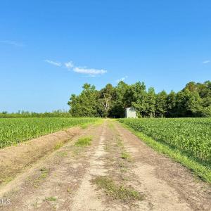 Photo #3 of Off Swamp Fox Hwy, Tabor City, NC 68.0 acres