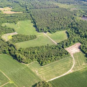Photo #14 of Off Swamp Fox Hwy, Tabor City, NC 68.0 acres