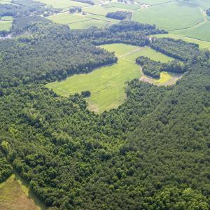 Photo #21 of Off Swamp Fox Hwy, Tabor City, NC 68.0 acres