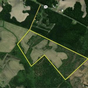 Photo #2 of Off Swamp Fox Hwy, Tabor City, NC 68.0 acres