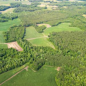 Photo #22 of Off Swamp Fox Hwy, Tabor City, NC 68.0 acres