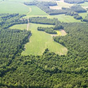 Photo #18 of Off Swamp Fox Hwy, Tabor City, NC 68.0 acres