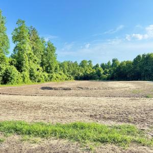Photo #17 of Off Swamp Fox Hwy, Tabor City, NC 68.0 acres