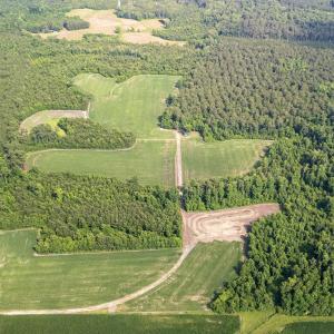 Photo #1 of Off Swamp Fox Hwy, Tabor City, NC 68.0 acres
