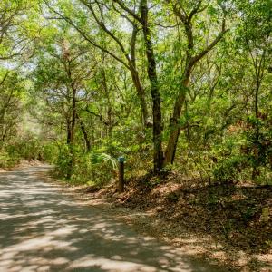Photo #6 of 6 Gunnery, Bald Head Island, NC 0.3 acres