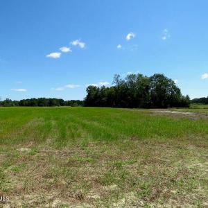 Photo #22 of 4512 Tobacco, Orrum, NC 53.4 acres