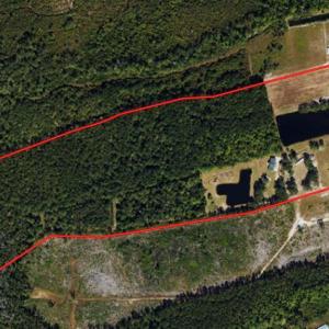 Photo #2 of 4512 Tobacco, Orrum, NC 53.4 acres