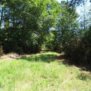 Photo #25 of 4512 Tobacco, Orrum, NC 53.4 acres