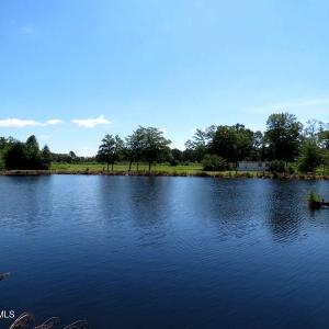 Photo #21 of 4512 Tobacco, Orrum, NC 53.4 acres