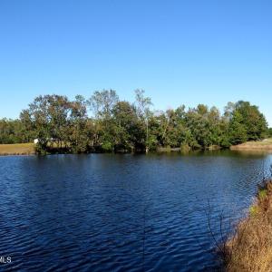 Photo #31 of 4512 Tobacco, Orrum, NC 53.4 acres
