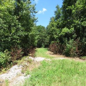 Photo #24 of 4512 Tobacco, Orrum, NC 53.4 acres