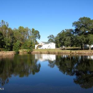 Photo #30 of 4512 Tobacco, Orrum, NC 53.4 acres