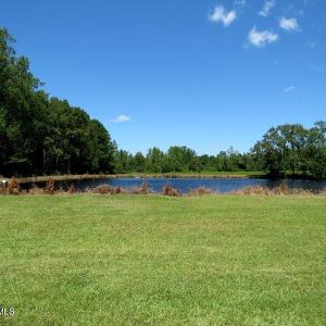 Photo #8 of 4512 Tobacco, Orrum, NC 53.4 acres