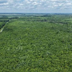 Photo #43 of River North, Camden, NC 37.3 acres