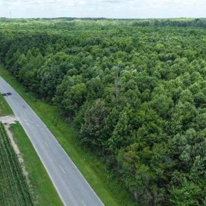 Photo #37 of River North, Camden, NC 37.3 acres