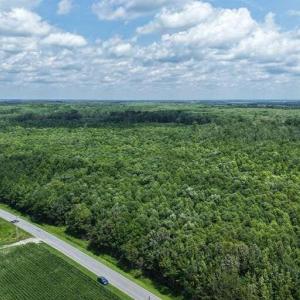 Photo #13 of River North, Camden, NC 37.3 acres
