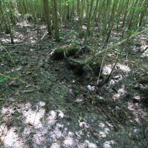 Photo #49 of River North, Camden, NC 37.3 acres