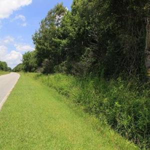 Photo #18 of River North, Camden, NC 37.3 acres
