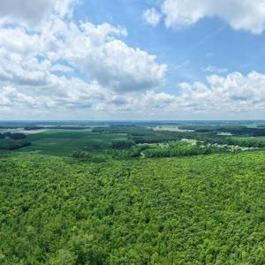 Photo #28 of River North, Camden, NC 37.3 acres