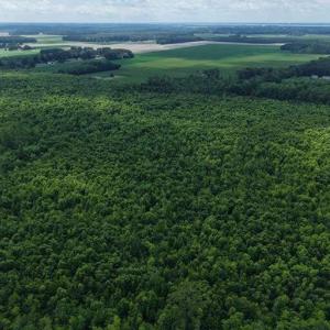 Photo #8 of River North, Camden, NC 37.3 acres