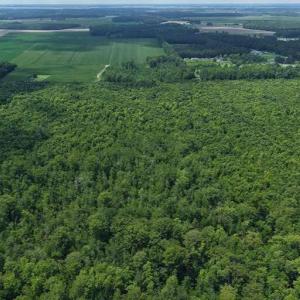 Photo #40 of River North, Camden, NC 37.3 acres