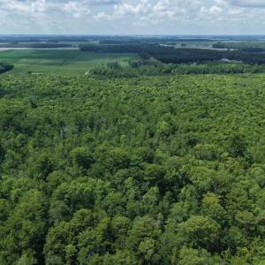 Photo #41 of River North, Camden, NC 37.3 acres