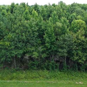 Photo #15 of River North, Camden, NC 37.3 acres