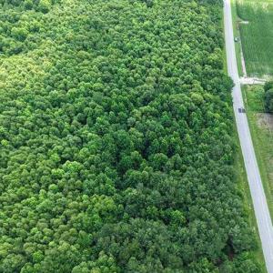Photo #4 of River North, Camden, NC 37.3 acres