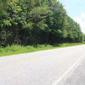 Photo #21 of River North, Camden, NC 37.3 acres