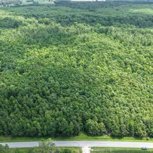 Photo #29 of River North, Camden, NC 37.3 acres
