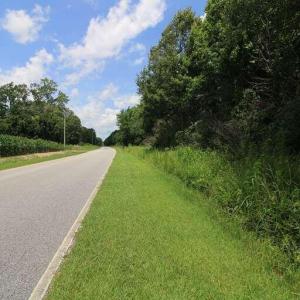 Photo #19 of River North, Camden, NC 37.3 acres