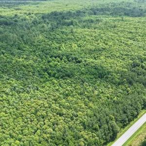Photo #30 of River North, Camden, NC 37.3 acres