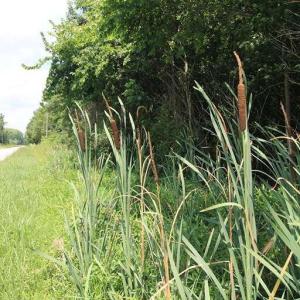 Photo #24 of River North, Camden, NC 37.3 acres