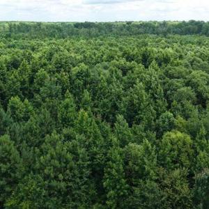 Photo #16 of River North, Camden, NC 37.3 acres