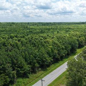 Photo #38 of River North, Camden, NC 37.3 acres