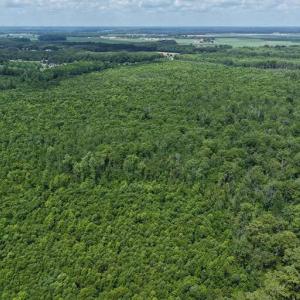 Photo #32 of River North, Camden, NC 37.3 acres